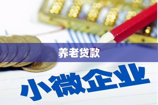 巍山养老贷款