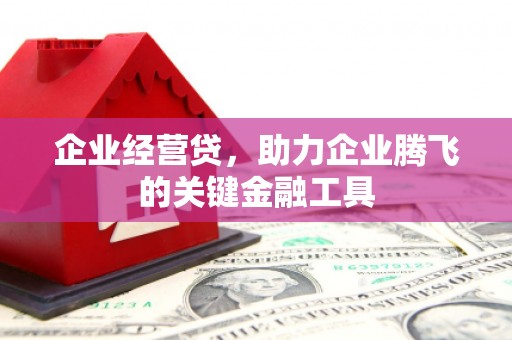 巍山企业经营贷，助力企业腾飞的关键金融工具