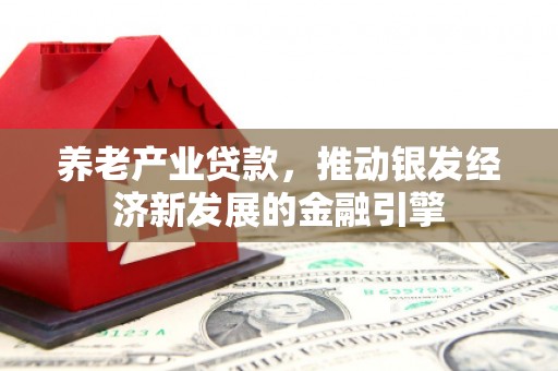 巍山养老产业贷款，推动银发经济新发展的金融引擎