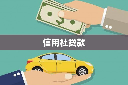 巍山信用社贷款