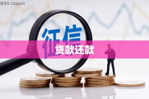 巍山贷款还款