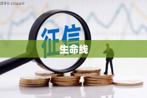 巍山生命线