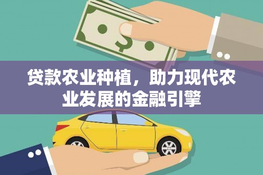 巍山贷款农业种植，助力现代农业发展的金融引擎