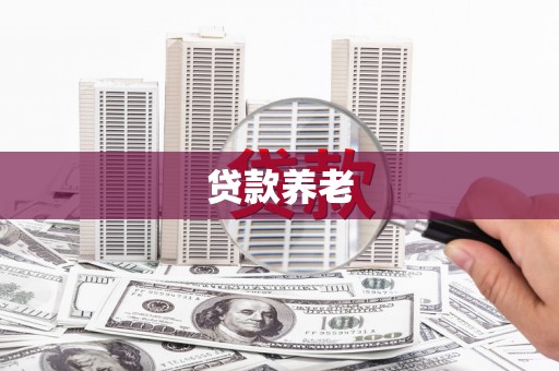 巍山贷款养老
