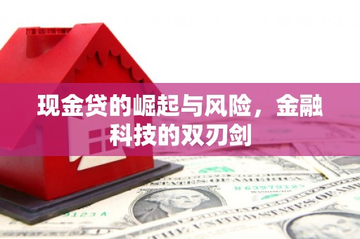 巍山现金贷的崛起与风险，金融科技的双刃剑