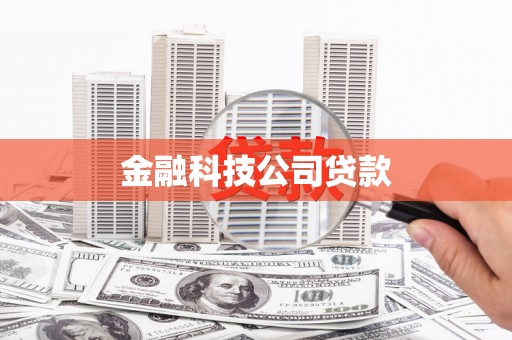 巍山金融科技公司贷款