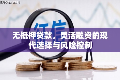 巍山无抵押贷款，灵活融资的现代选择与风险控制