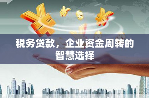 巍山税务贷款，企业资金周转的智慧选择