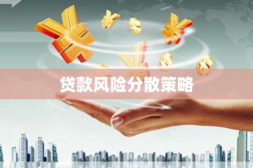 巍山贷款风险分散策略