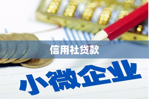 巍山信用社贷款