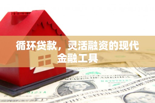 巍山循环贷款，灵活融资的现代金融工具