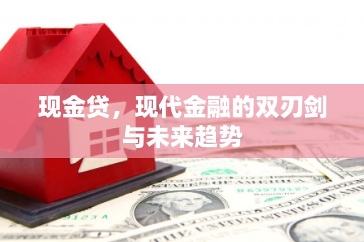 巍山现金贷，现代金融的双刃剑与未来趋势