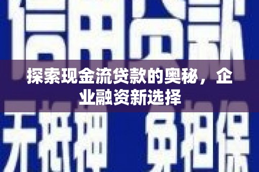 巍山探索现金流贷款的奥秘，企业融资新选择