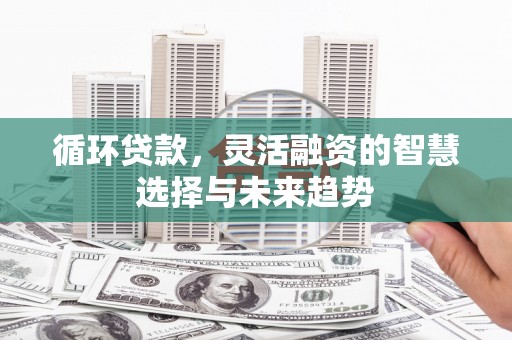 巍山循环贷款，灵活融资的智慧选择与未来趋势