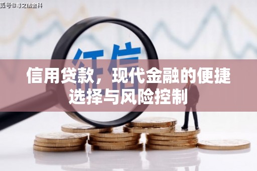 巍山信用贷款，现代金融的便捷选择与风险控制