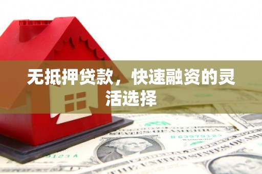 巍山无抵押贷款，快速融资的灵活选择
