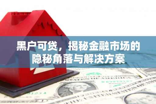 巍山黑户可贷，揭秘金融市场的隐秘角落与解决方案