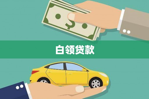 巍山白领贷款