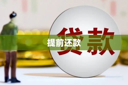 巍山提前还款