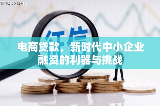 巍山电商贷款，新时代中小企业融资的利器与挑战