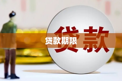 巍山贷款期限