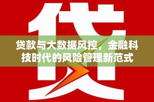 巍山贷款与大数据风控，金融科技时代的风险管理新范式