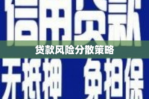 巍山贷款风险分散策略