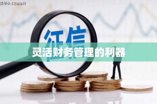 巍山灵活财务管理的利器