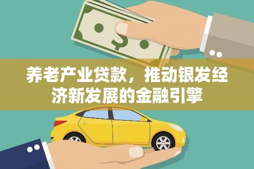 巍山养老产业贷款，推动银发经济新发展的金融引擎