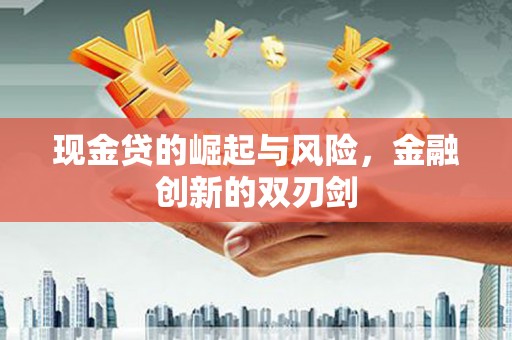 巍山现金贷的崛起与风险，金融创新的双刃剑