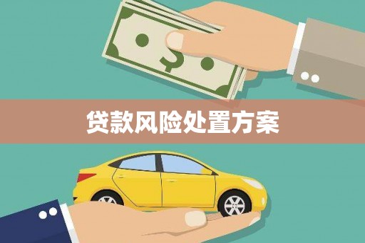 巍山贷款风险处置方案