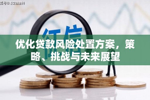巍山优化贷款风险处置方案，策略、挑战与未来展望