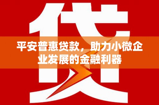 巍山平安普惠贷款，助力小微企业发展的金融利器