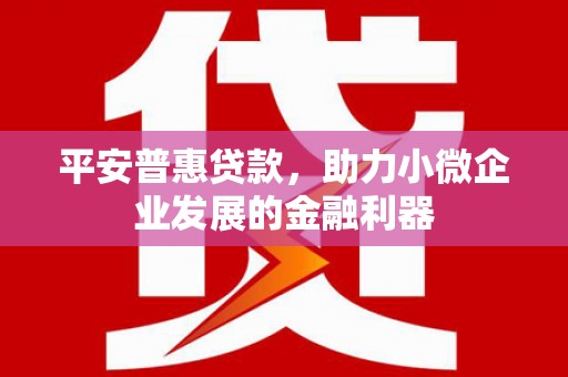 巍山平安普惠贷款，助力小微企业发展的金融利器