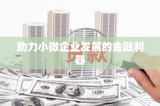 巍山助力小微企业发展的金融利器