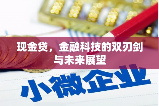 巍山现金贷，金融科技的双刃剑与未来展望