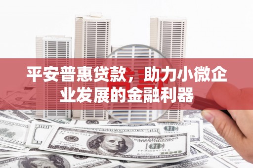 巍山平安普惠贷款，助力小微企业发展的金融利器
