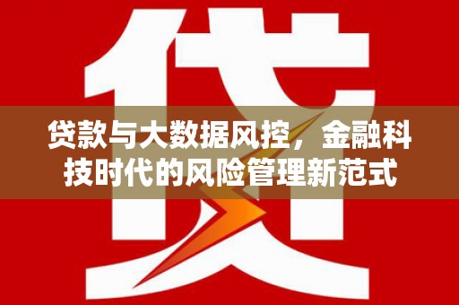 巍山贷款与大数据风控，金融科技时代的风险管理新范式