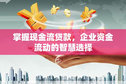 巍山掌握现金流贷款，企业资金流动的智慧选择