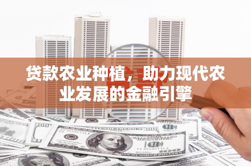 巍山贷款农业种植，助力现代农业发展的金融引擎