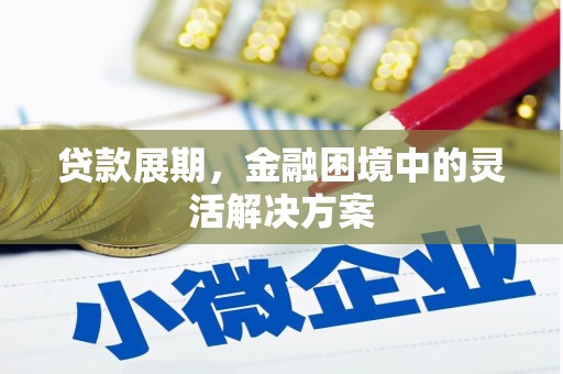 巍山贷款展期，金融困境中的灵活解决方案