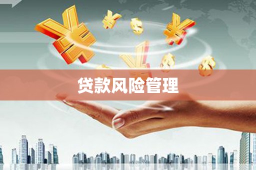 巍山贷款风险管理