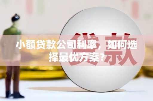 巍山小额贷款公司利率，如何选择最优方案？