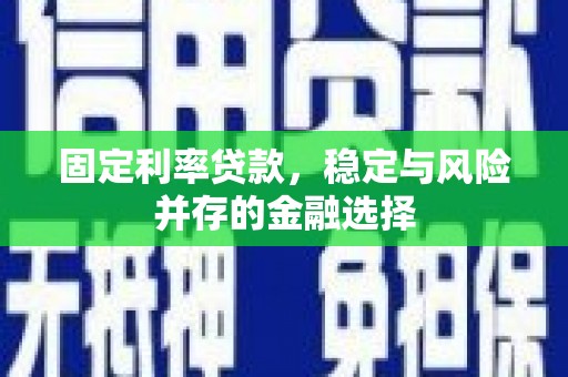 巍山固定利率贷款，稳定与风险并存的金融选择