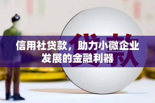 巍山信用社贷款，助力小微企业发展的金融利器