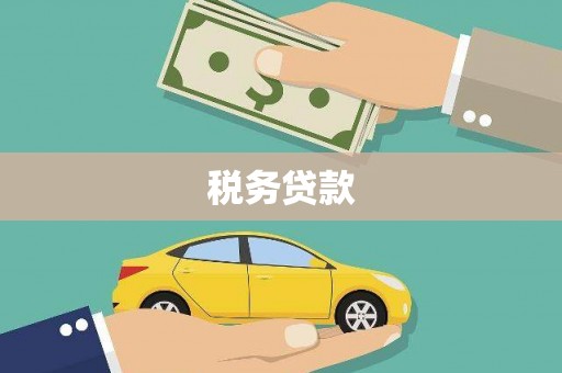 巍山税务贷款