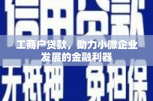 巍山工商户贷款，助力小微企业发展的金融利器