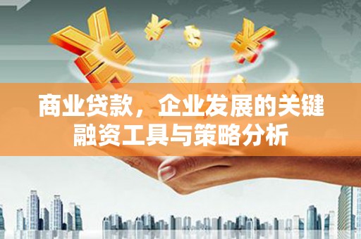 巍山商业贷款，企业发展的关键融资工具与策略分析