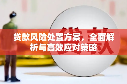 巍山贷款风险处置方案，全面解析与高效应对策略