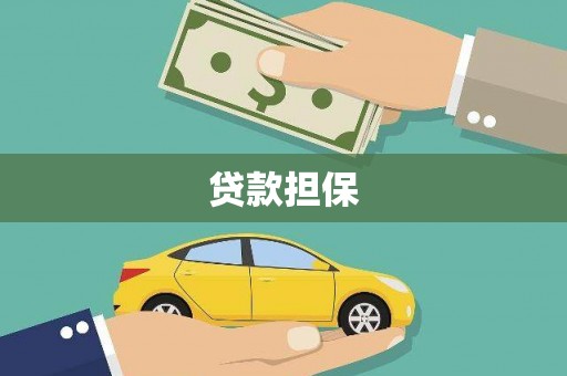 巍山贷款担保